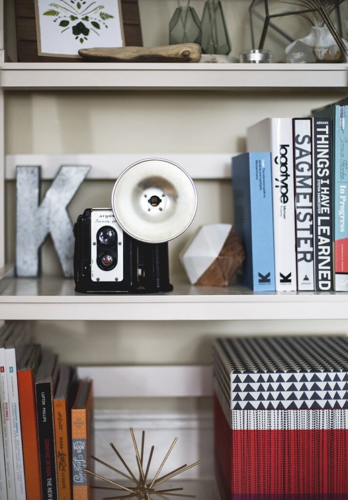 bookshelf, camera, vintage camera